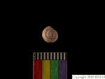 L_V22d5612 A15q728 T927 dM sh f372